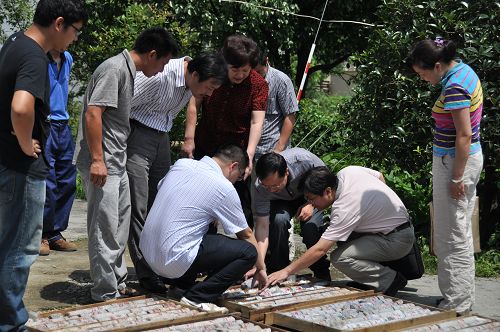 20110702124720749.jpg