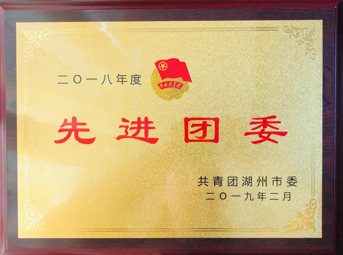 先进团委.jpg